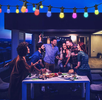 Купить 2700K рождественская конюшня RGB String Light голосового управления практически стабильная Производство в сети