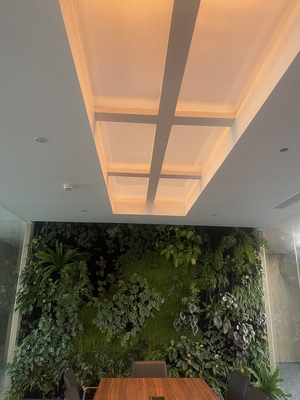 Купить Rectangle Faux Skylight Panels 220mm Highness Customizable Solutions Производство в сети