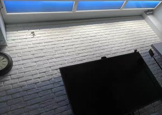 виртуальная искусственная панель светового люка СИД 110ВАК затемняя 60кс120 ККТ 6500К 8000льм